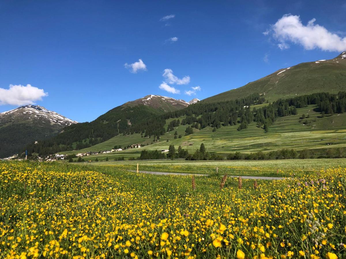 Chalet Breithorn- Perfect For Holiday With Amazing View! Obergesteln Luaran gambar